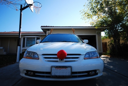 deer car 00.jpg