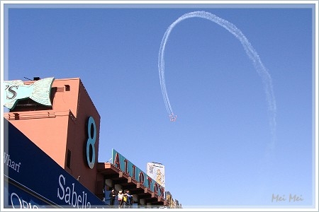 fleetWeek_snowBirds.JPG