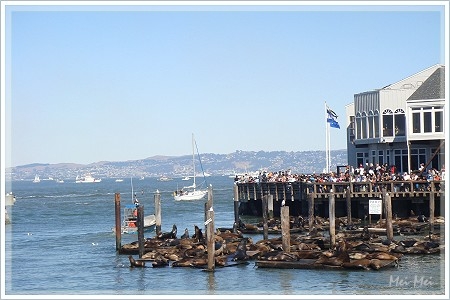 blueAngels_pier.JPG