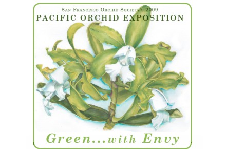 SF orchid.jpg