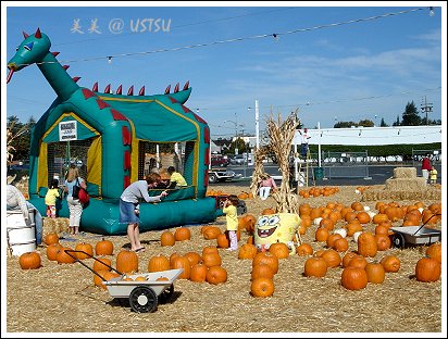 pumpkinPatch_jumping.jpg