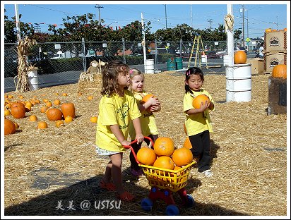 pumpkinPatch_shopping.jpg