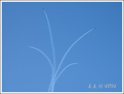 blueAngels_4flowers.jpg