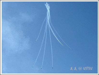 blueAngels_6flowers.jpg