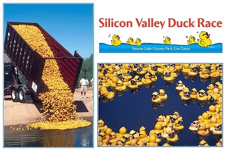 Duck Race.jpg