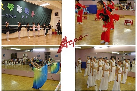 chinesePerformingArts_classes.jpg