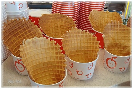 orangeTree_waffleCup.JPG