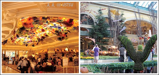 lasVegas_bellagioGarden.jpg