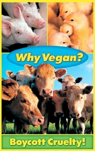 Copy of Why Vegan.jpg