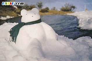 snow_bear.jpg