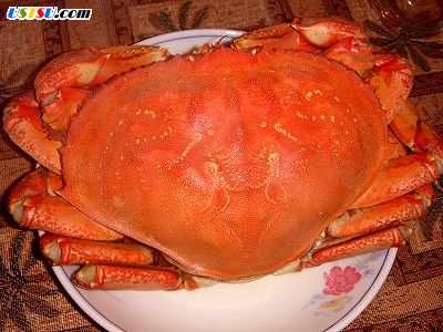 safeway_crab.jpg