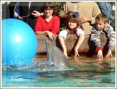 SeaWorld_play.jpg