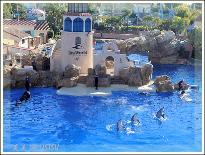 SeaWorld_dophin.jpg