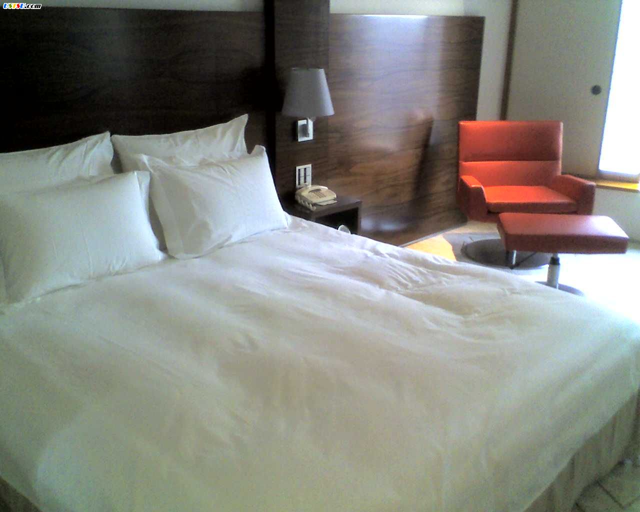 Hilton_Room2.jpg