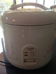 rice cooker1.jpg