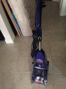 carpet steamer.jpg