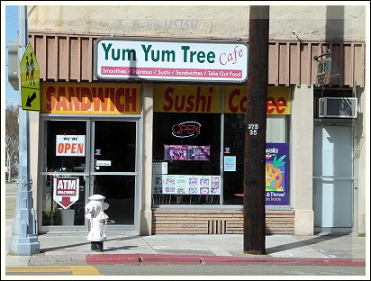 yumYumTree_front.jpg