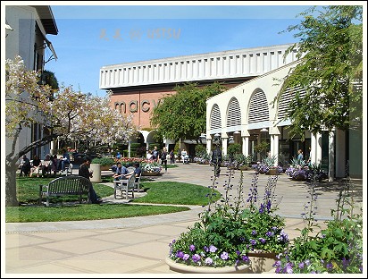 stanfordMall_macys.jpg