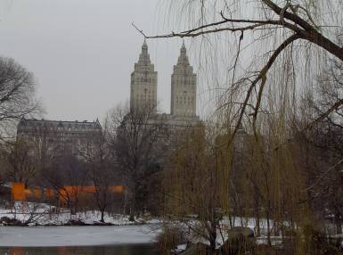 Central Park.jpg