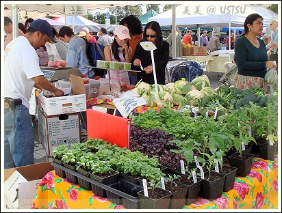 farmersMarket_herb.jpg