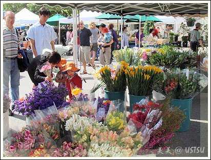 farmersMarket_flowers2.jpg