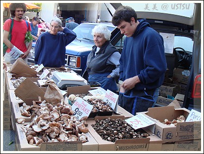 PAfarmersMarket_mushrooms.jpg