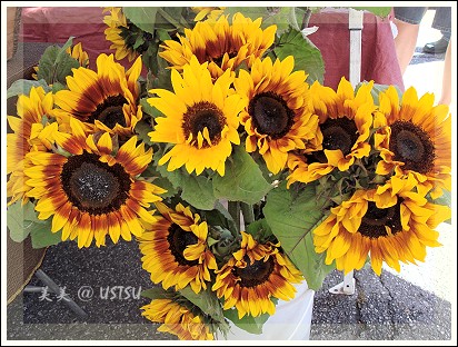 caFarmerMarket_sunFlower.jpg