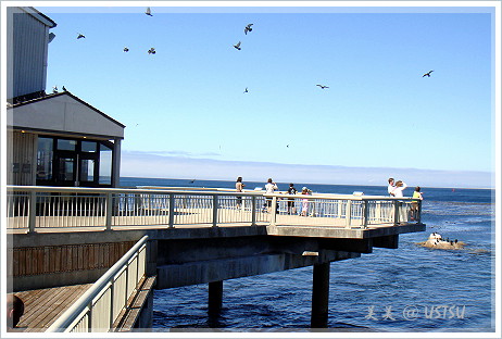 montereyAquarium_patio.JPG