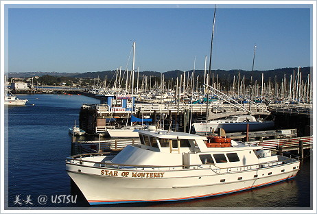 fishermansWharf_yacht.JPG