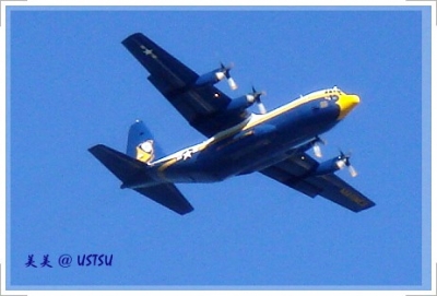 blueAngels_flat.JPG