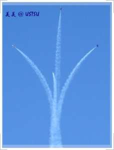 blueAngels_4flower.JPG