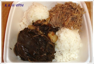 hawaiiBBQ_plate1.JPG