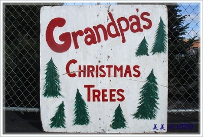 grandpaXmasTrees_front.JPG