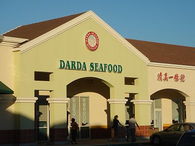 darda_front.jpg