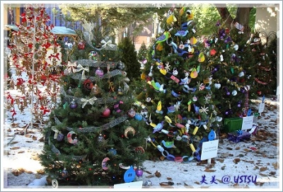 xmasPark_tree2.JPG