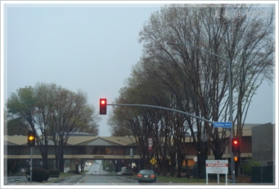 rainHarvesting_road.JPG