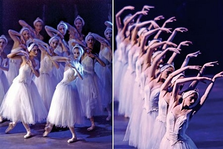 Swan Lake.jpg