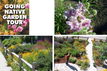 Native Garden Tour.jpg