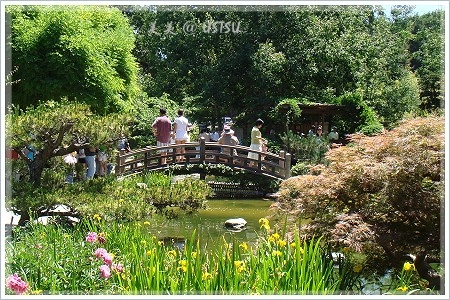 hakoneGardens_flower.JPG