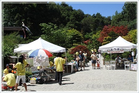 hakoneGardens_fair.JPG