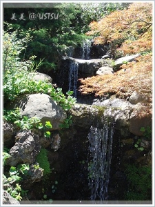 hakoneGardens_fall.JPG