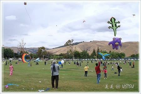 kidKite_lawn1.JPG