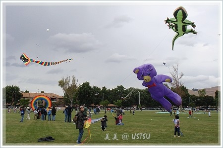 kidKite_lawn2.JPG