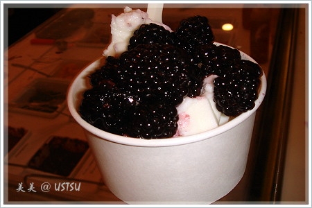 fraicheYogurt_blackberry.JPG